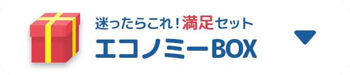 迷ったらこれ！満足セット エコノミーBOX
