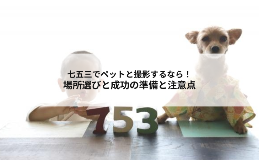 七五三でペットと撮影するなら！場所選びと成功の準備と注意点